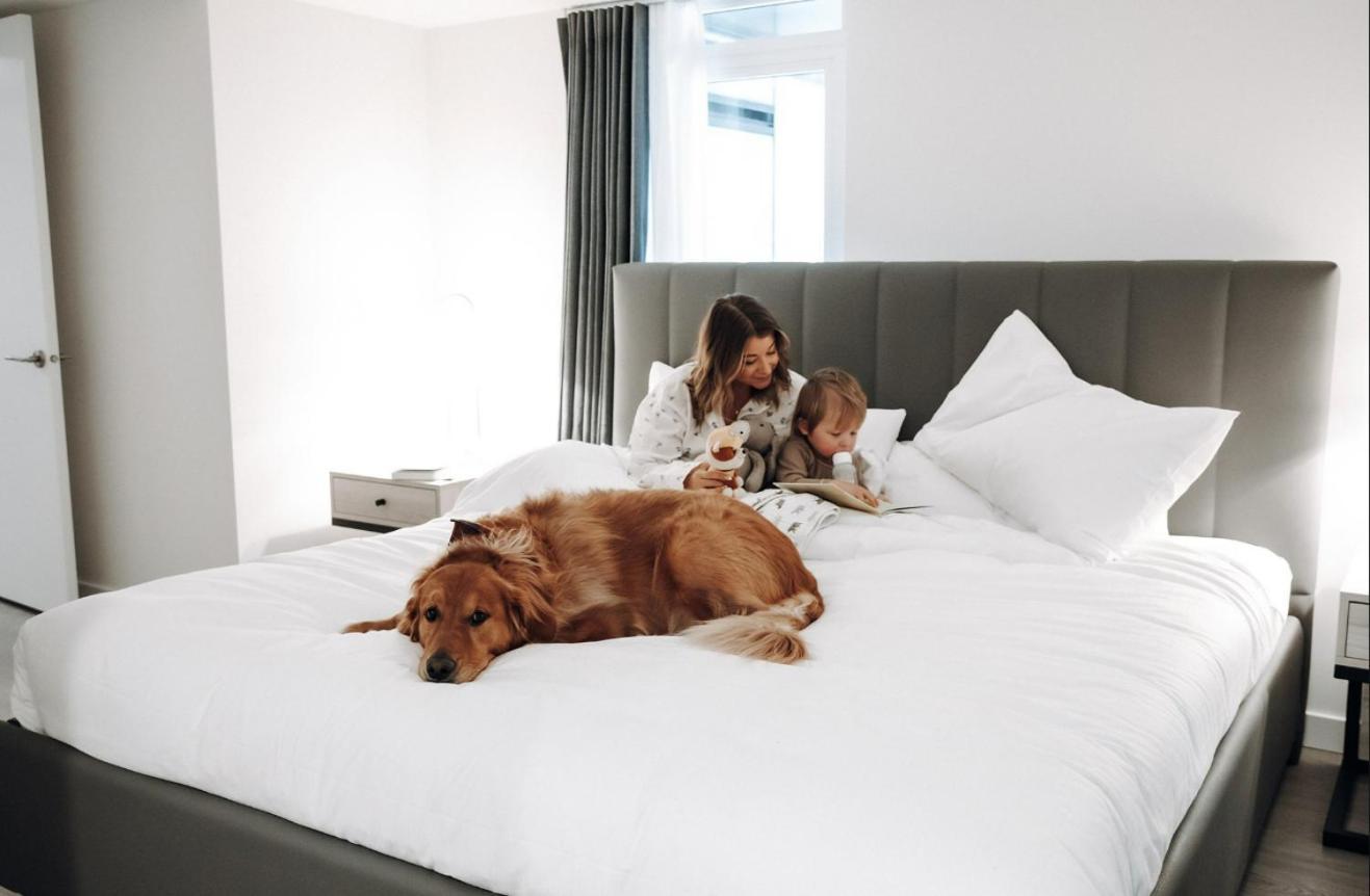Level Downtown La South Olive Hotell Los Angeles Exteriör bild